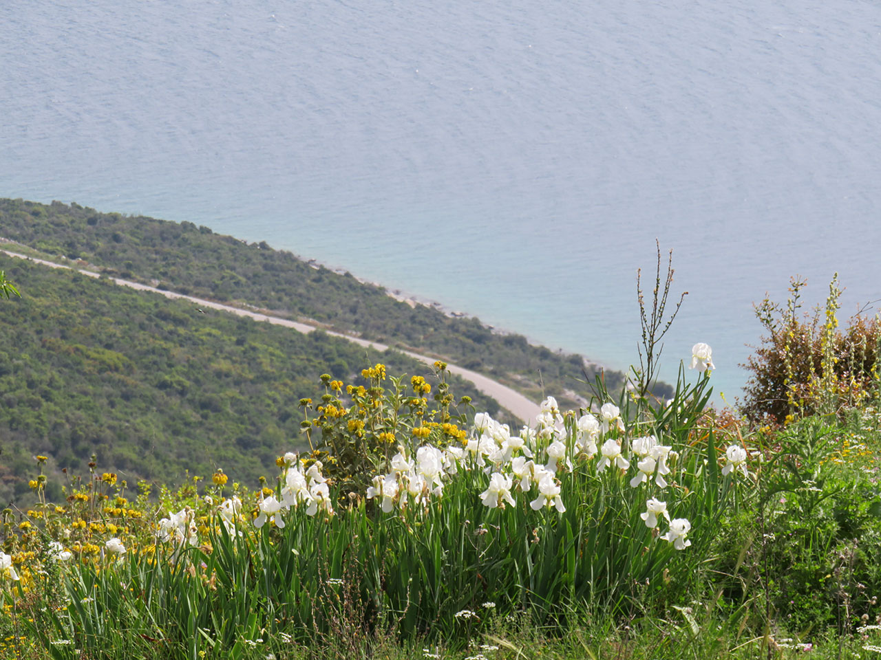 View from the road to Cape Suites appartments in Kythnos