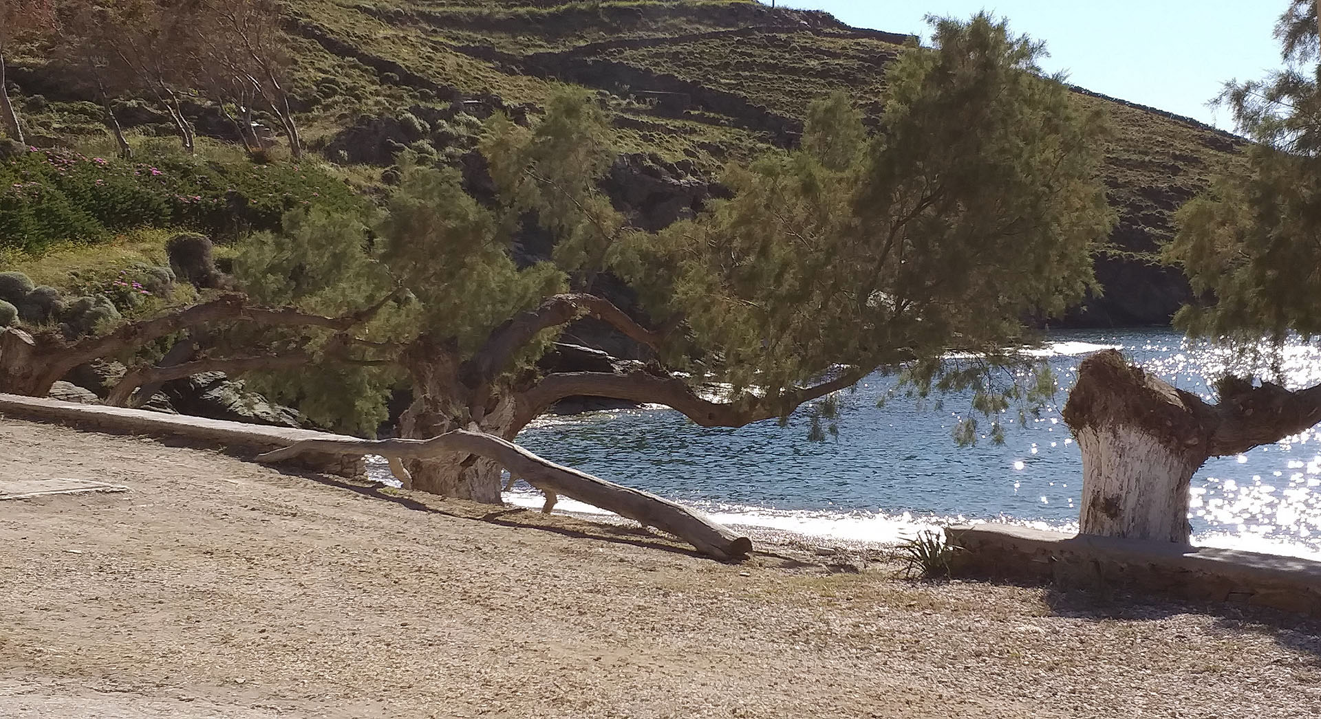 The beach of Agios Dimitrios in Kythnos island with dense shade from the trees
