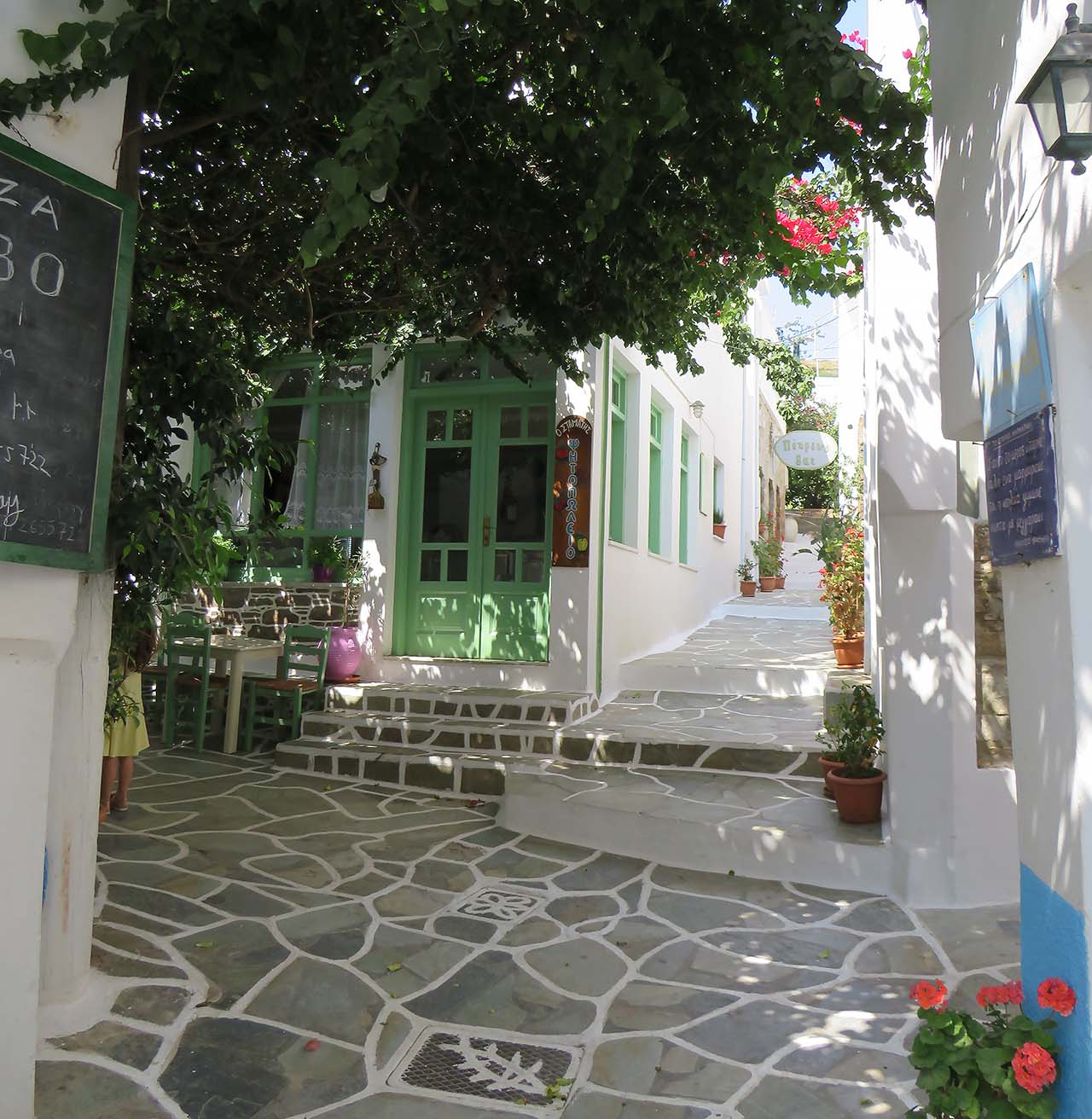 Η πολύχρωμη Κυκλαδίτικη Δρυοπίδα