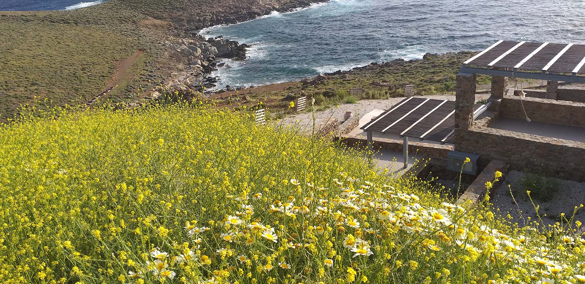 Mountain side in Kythnos covered with flowers